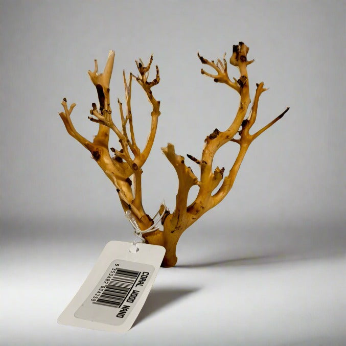 Coral Wood - Nano - 10cm to 15cm