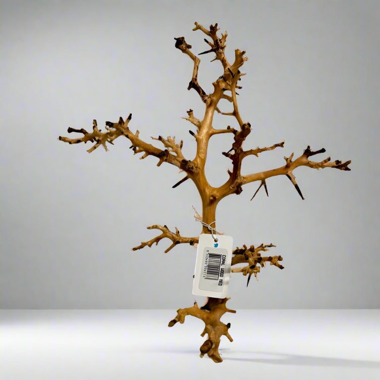 Coral Wood - Medium - 22cm to 30cm