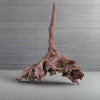 Bioscape Tectona Coral Driftwood - Medium 30-40cm