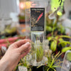 Living Airplant - Tillandsia dura - Poly Pack