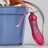 Nepenthes Rebecca Soper - Tropical Pitcher Plant - Bio Cup