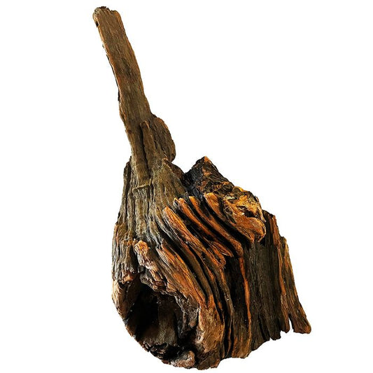 New Zealand Exotic Wood - Jumbo - 70cm