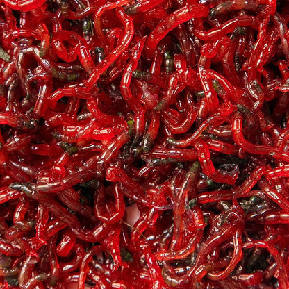 Freeze Dried Bloodworms - Fish Food - 26g